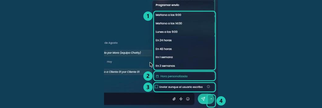Menú Programar envío con las opciones rápidas de fecha, la hora personalizada y la casilla de envío forzado